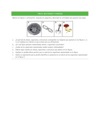 Evaluación Programas - CN07 OA05 - U3 - VIRUS, BACTERIAS Y HONGOS