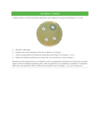 Evaluación Programas - CN07 OA06 - U3 - BACTERIAS Y HONGOS