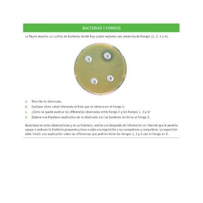 Evaluación Programas - CN07 OA06 - U3 - BACTERIAS Y HONGOS