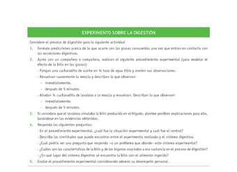 Evaluación Programas - CN08 OA05 - U1 - EXPERIMENTO SOBRE LA DIGESTIÓN