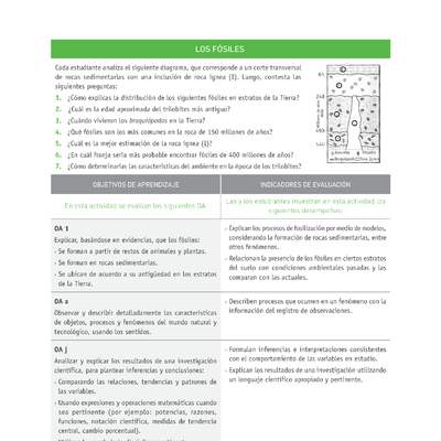 Evaluación Programas - CN1M OA01 - U1 - LOS FÓSILES