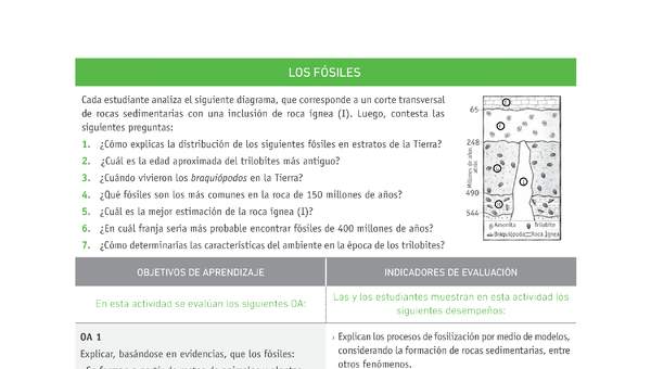 Evaluación Programas - CN1M OA01 - U1 - LOS FÓSILES