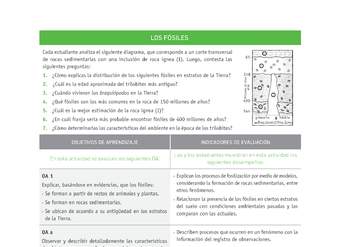 Evaluación Programas - CN1M OA01 - U1 - LOS FÓSILES