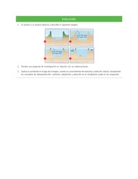 Evaluación Programas - CN1M OA02 - U1 - EVOLUCIÓN