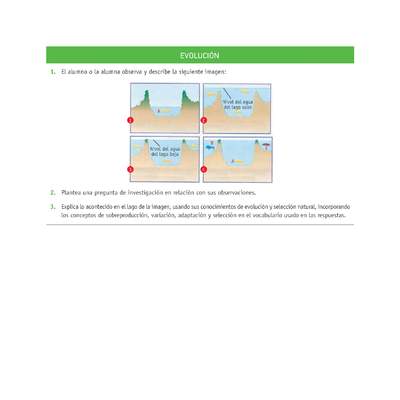 Evaluación Programas - CN1M OA02 - U1 - EVOLUCIÓN