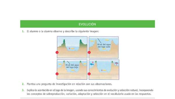 Evaluación Programas - CN1M OA02 - U1 - EVOLUCIÓN