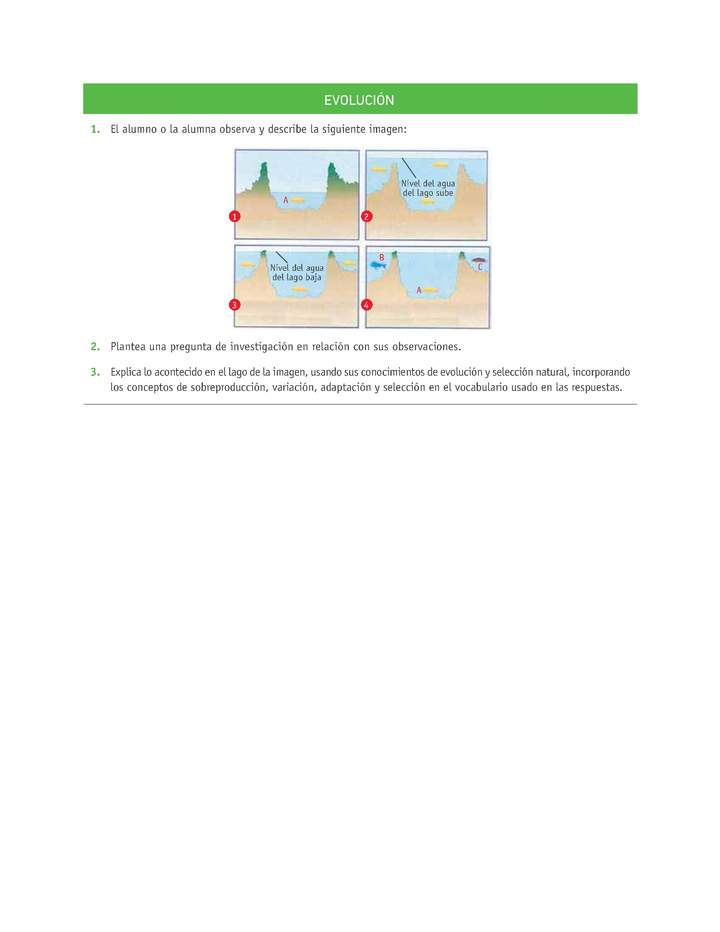 Evaluación Programas - CN1M OA02 - U1 - EVOLUCIÓN