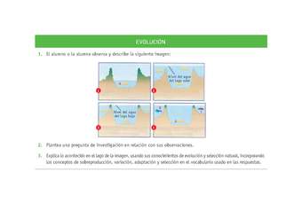 Evaluación Programas - CN1M OA02 - U1 - EVOLUCIÓN