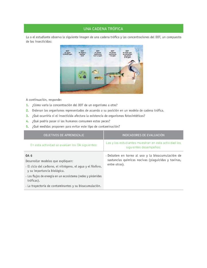 Evaluación Programas - CN1M - OA06 - OA07 - U3 - UNA CADENA TRÓFICA