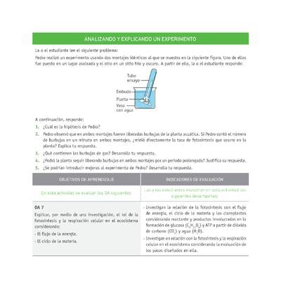 Evaluación Programas - CN1M - OA07 - U3 - ANALIZANDO Y EXPLICANDO UN EXPERIMENTO