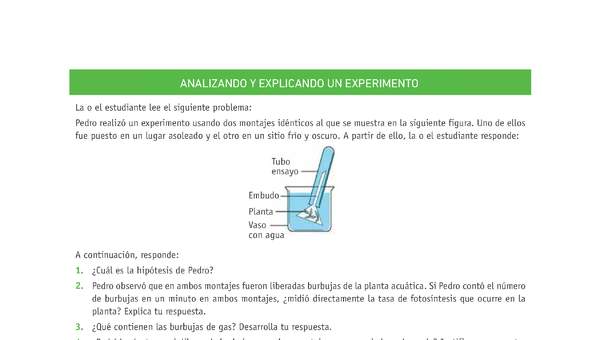 Evaluación Programas - CN1M - OA07 - U3 - ANALIZANDO Y EXPLICANDO UN EXPERIMENTO