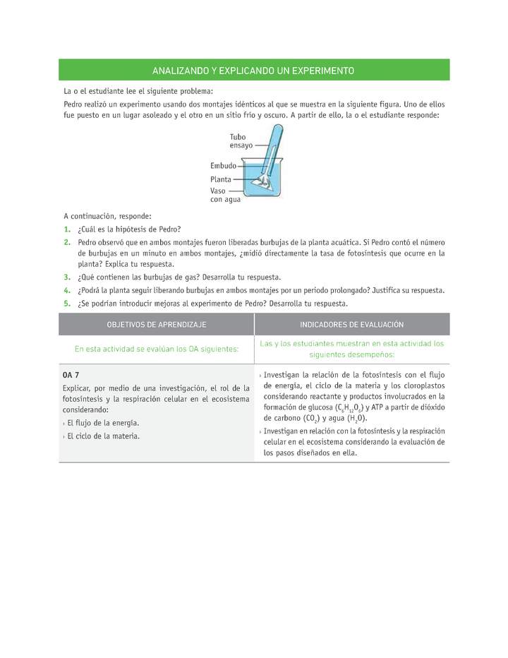 Evaluación Programas - CN1M - OA07 - U3 - ANALIZANDO Y EXPLICANDO UN EXPERIMENTO