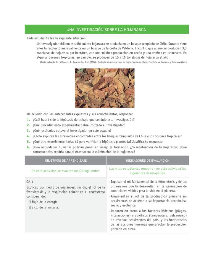 Evaluación Programas - CN1M - OA07 - U3 - UNA INVESTIGACIÓN SOBRE LA HOJARASCA