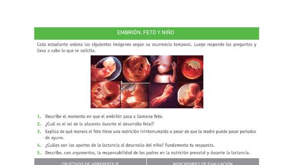 Evaluación Programas - CN2M - OA04 - U2 - EMBRIÓN, FETO Y NIÑO