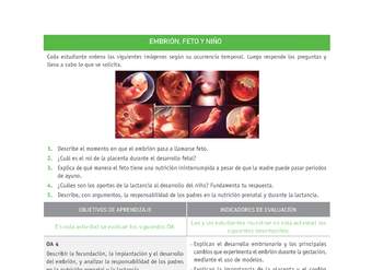 Evaluación Programas - CN2M - OA04 - U2 - EMBRIÓN, FETO Y NIÑO