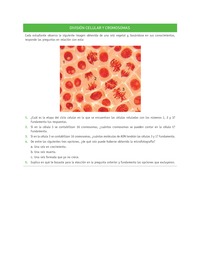 Evaluación Programas - CN2M - OA06 - U3 - DIVISIÓN CELULAR Y CROMOSOMAS