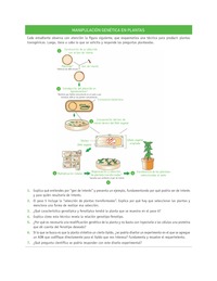 Evaluación Programas - CN2M - OA08 - U4 - MANIPULACIÓN GENÉTICA EN PLANTAS