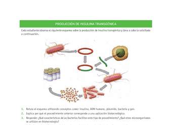 Evaluación Programas - CN2M - OA08 - U4 - PRODUCCIÓN DE INSULINA TRANSGÉNICA