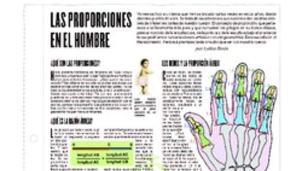 Las proporciones en el hombre