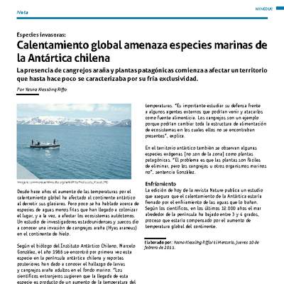 Calentamiento global amenaza especies marinas de la Antártica chilena