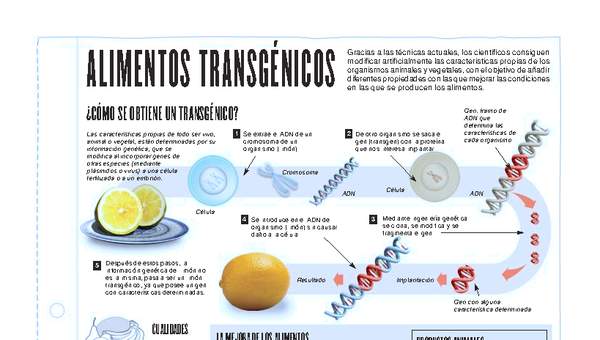 Infografía: Alimentos transgénicos