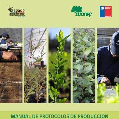 CONAF. (2014). Manual de protocolos de producción de especies utilizadas por el programa de arborización.