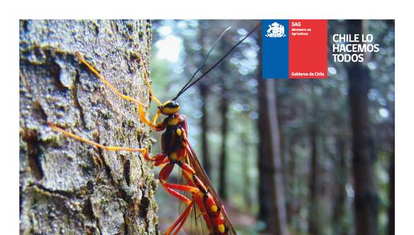 SAG (2018). Informe Programa control biológico de Sirex noctilio F. (Hymenoptera: Siricidae)