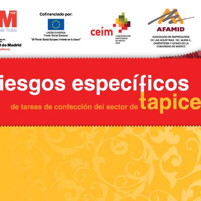 AFAMID (2012). Riesgos específicos de tareas de confección del sector de tapicería