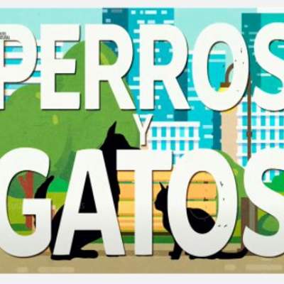 Cápsula tenencia responsable de perros y gatos