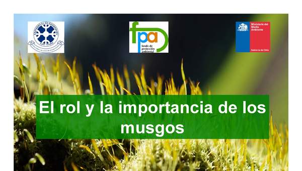 Presentación rol e Importancia musgos