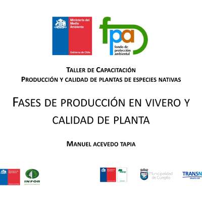 Presentación producción en vivero y calidad de planta