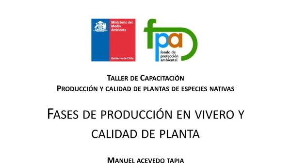 Presentación producción en vivero y calidad de planta