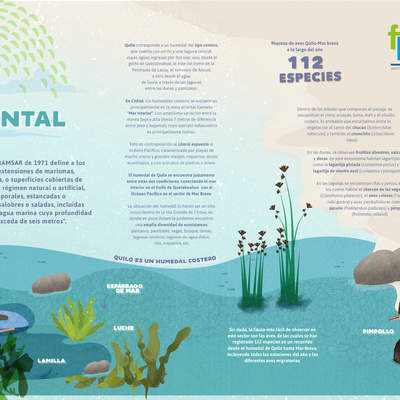 Afiche valor ambiental humedal Quilo