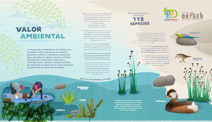 Afiche valor ambiental humedal Quilo