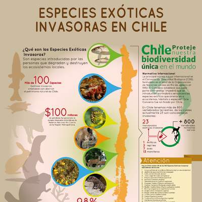 Afiche Especies Exóticas Invasoras en Chile 2