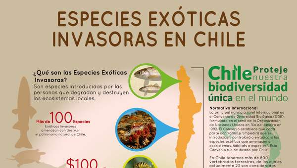 Afiche Especies Exóticas Invasoras en Chile 2