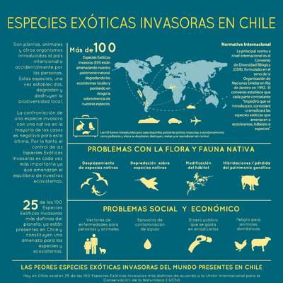 Afiche Especies Exóticas Invasoras en Chile 1