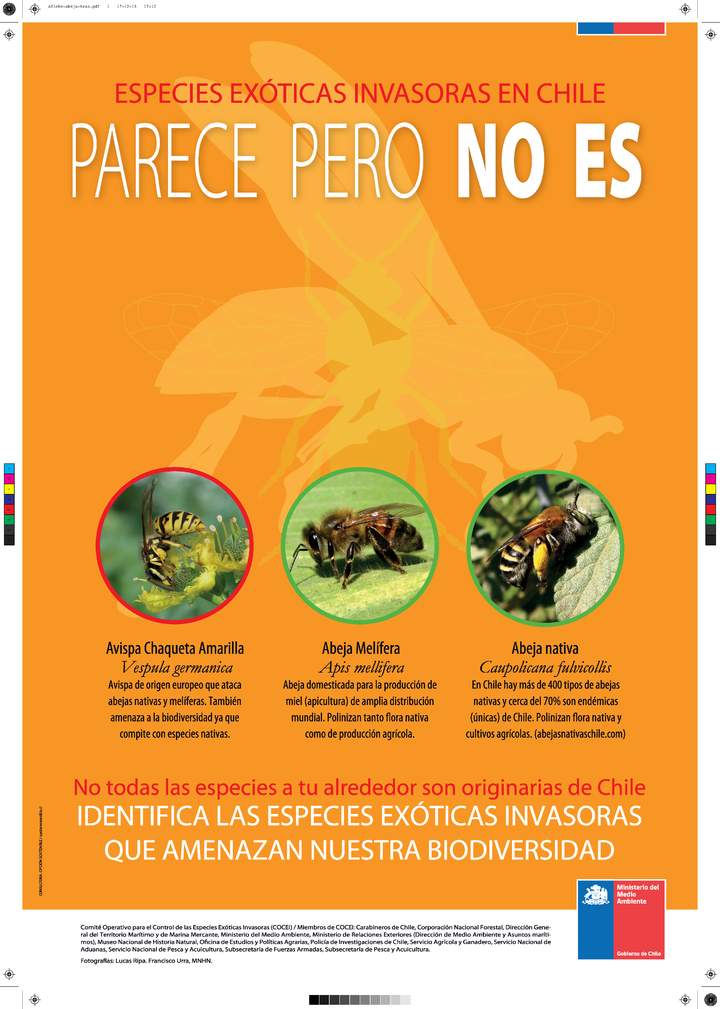 Afiche especies exóticas invasoras: Parece pero no es