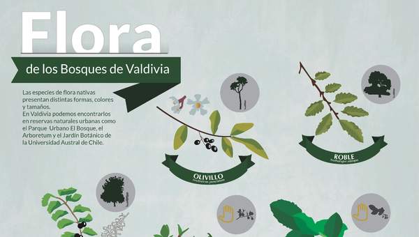 Afiche flora de Valdivia