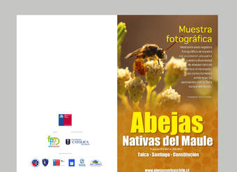 Díptico abejas nativas Maule