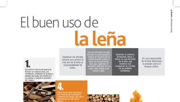 Infografía buen uso de la leña 2