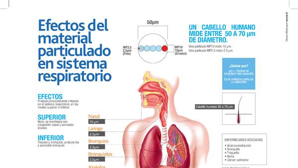 Infografía efectos MP en sistema respiratorio