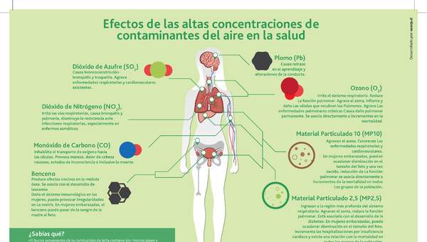 Infografía efectos en la salud contaminantes aire