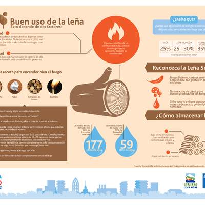 Infografía buen uso de leña 1