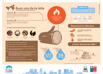 Infografía buen uso de leña 1