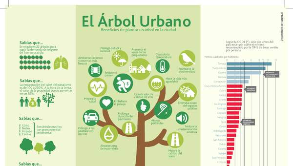 Infografía el árbol urbano