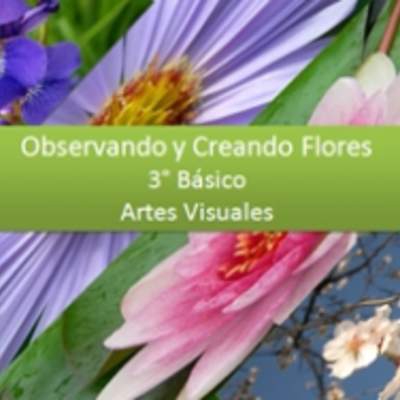 Observando y Creando Flores