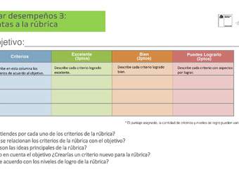 Modelar desempeños 3: Preguntas a la rúbrica