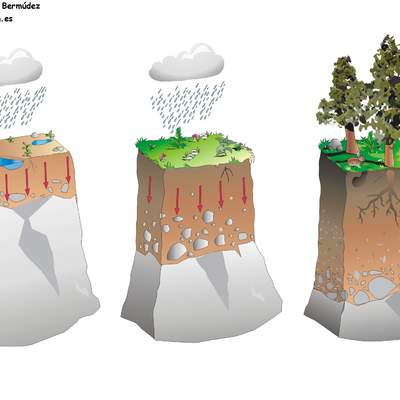 Formación de suelo