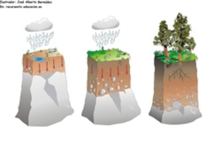 Formación de suelo